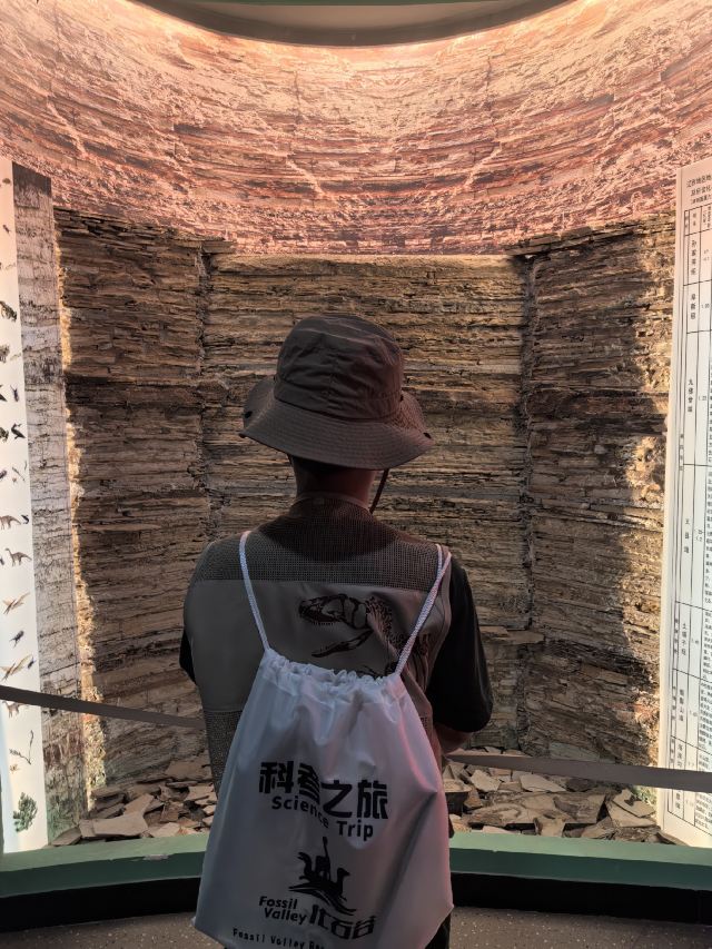 朝阳化石谷旅行图片 3