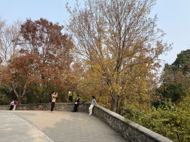 香山公园旅行图片 8