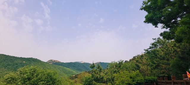 徂徕山森林温泉康养中心旅行图片 3