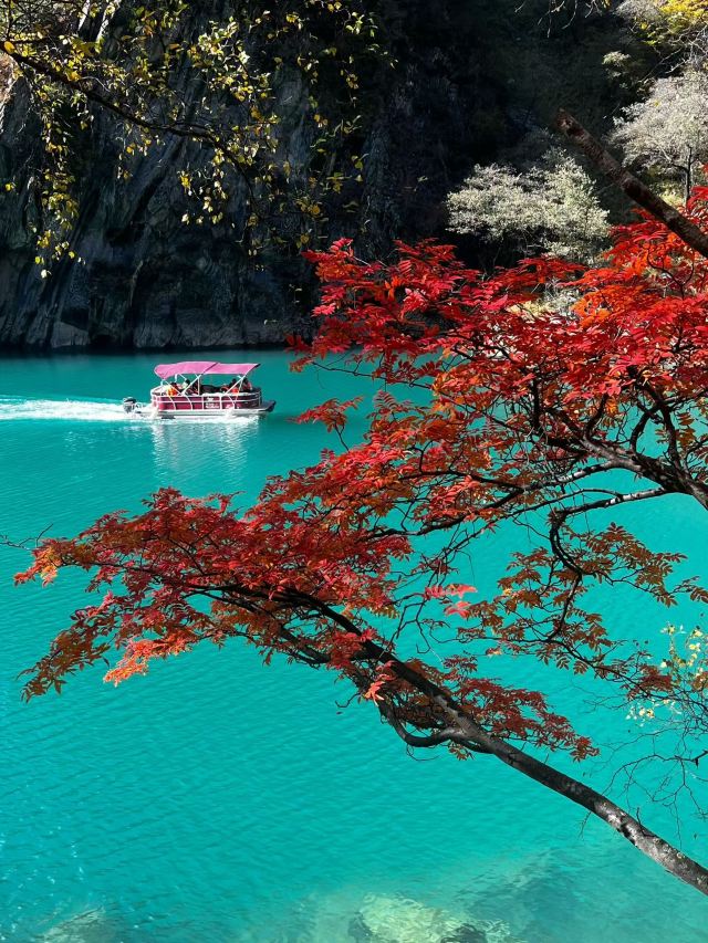 叠溪松坪沟景区旅行图片 2