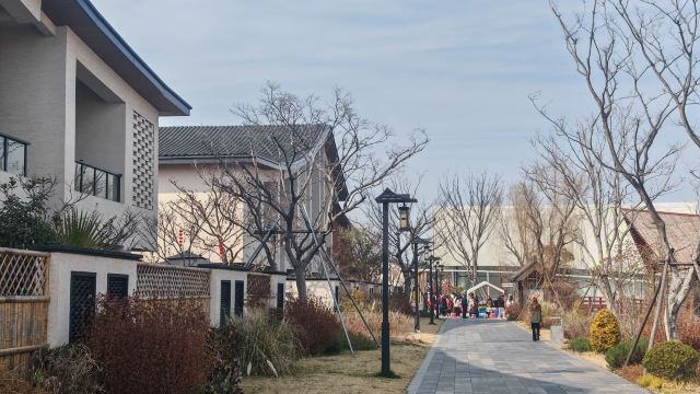 舜山小镇旅行图片 8
