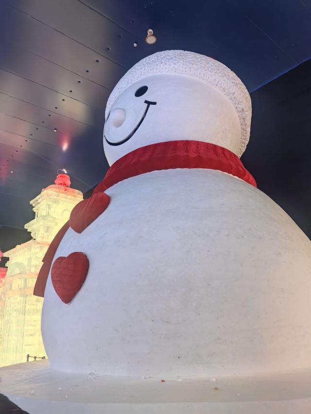 哈尔滨冰雪大世界文创旗舰店旅行图片 8