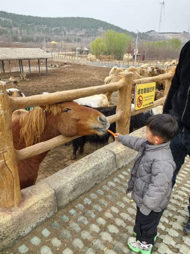 徐州九顶山野生动物园旅行图片 1