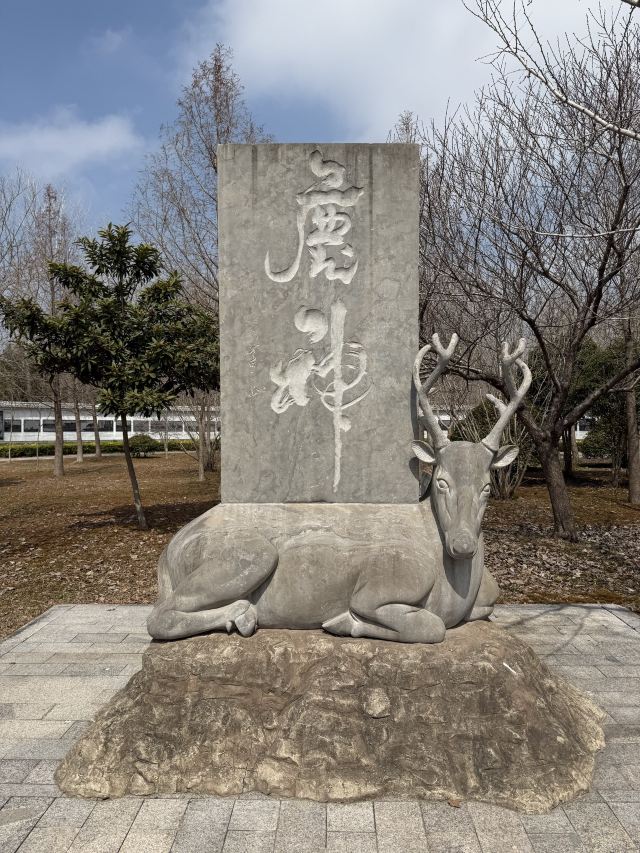中华麋鹿园旅行图片 5