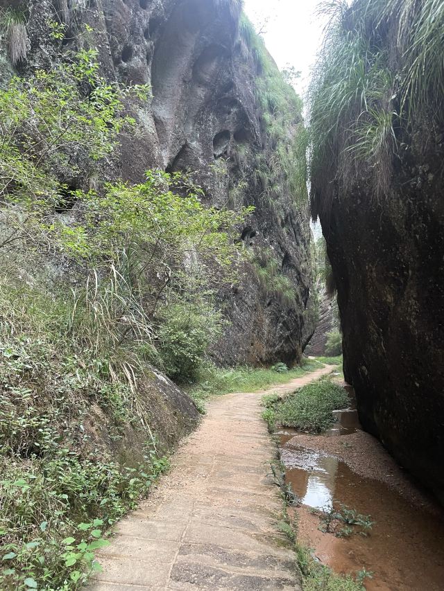 青龙岩风景区旅行图片 8
