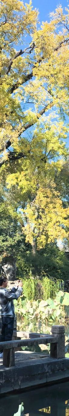 狮子林-苏州-*非君莫属*