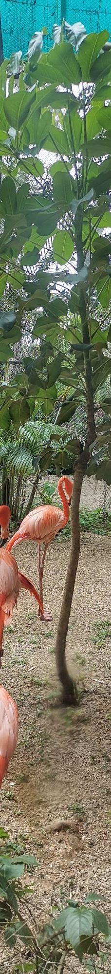 南宁动物园-南宁-YoYo_8R9F4Z1X