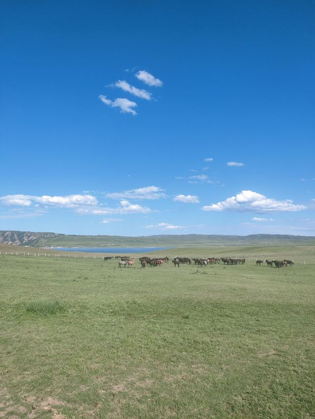 山丹皇家马场景区(暂停开放)旅行图片 1