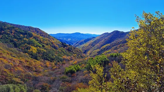 茅荊壩國家森林公園
