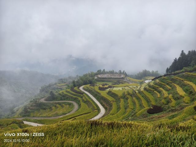 桃源梯田景区旅行图片 5