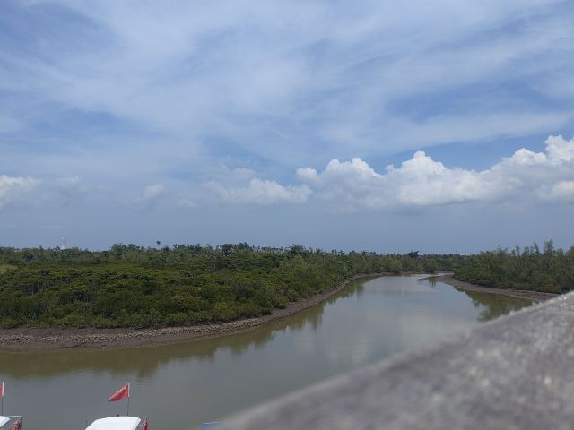 东寨港红树林旅游区旅行图片 1