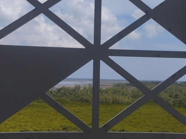 东寨港红树林旅游区旅行图片 3