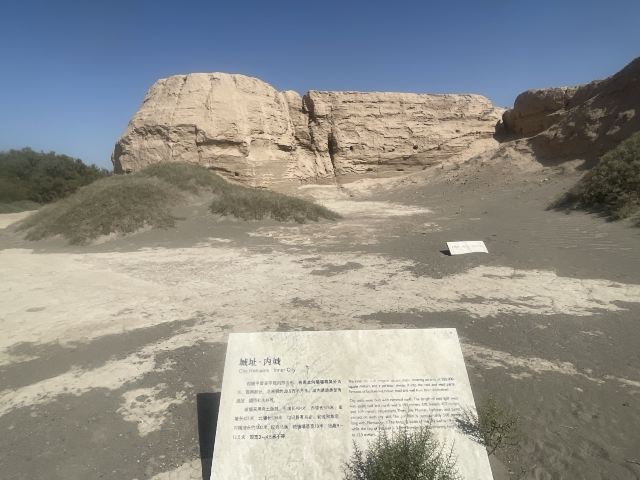 锁阳城遗址旅行图片 2