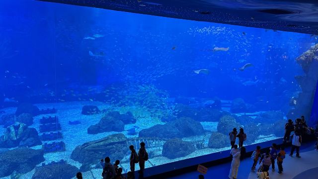 长沙湘江海洋王国旅行图片 2