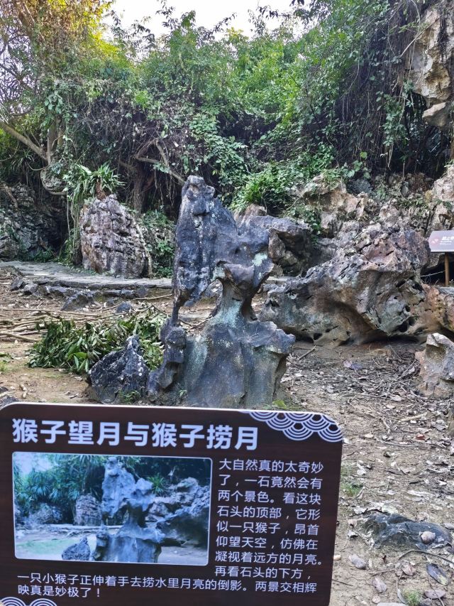 石景林景区旅行图片 5