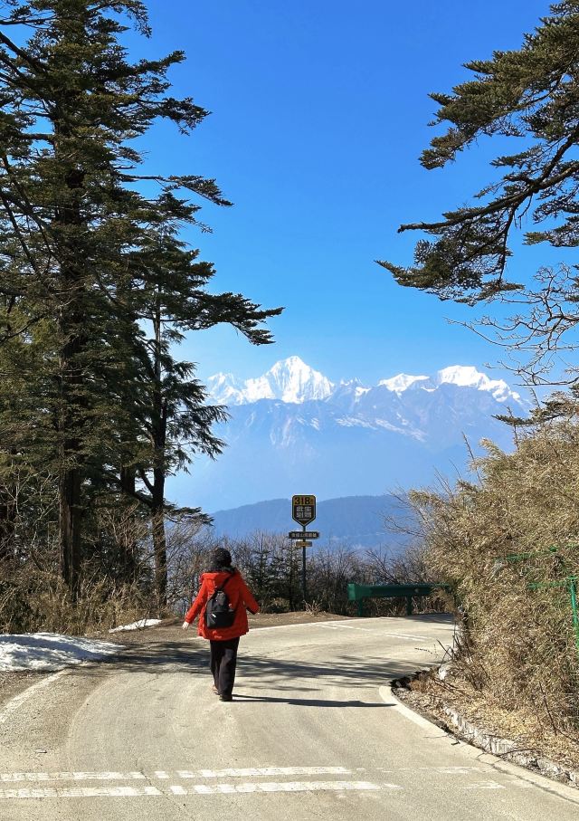 王岗坪旅游景区-露营区旅行图片 8