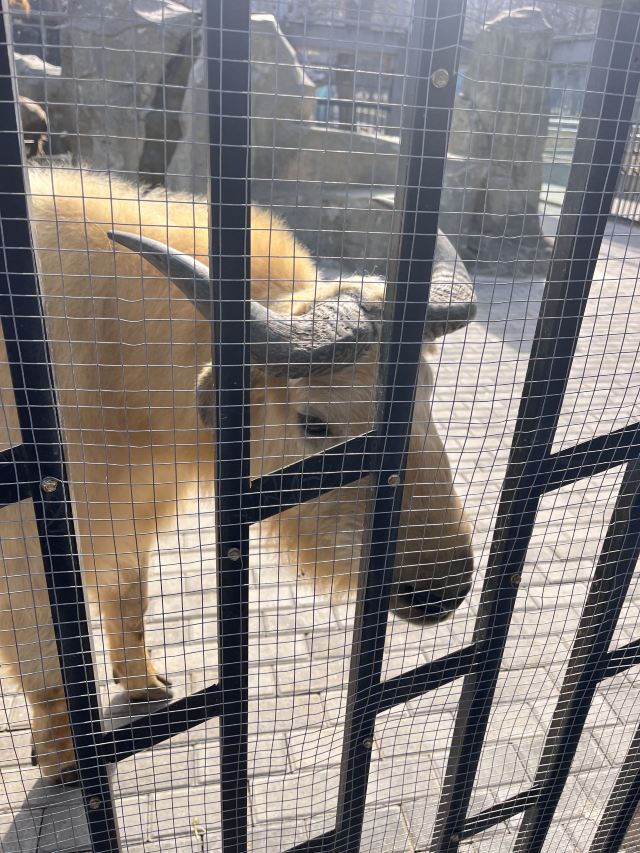 西安秦岭野生动物园旅行图片 1
