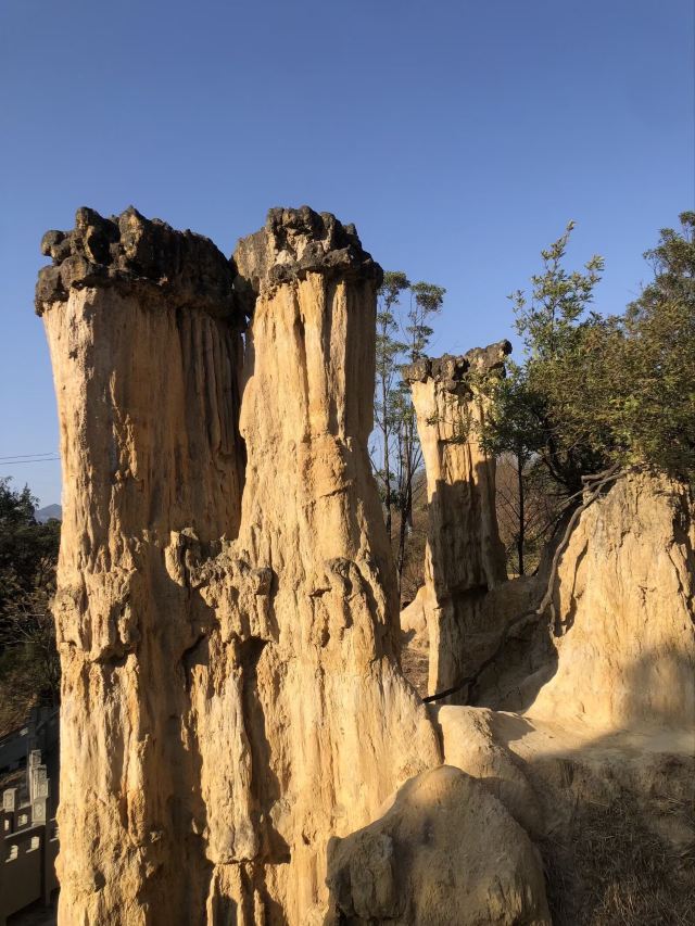 土林旅行图片 3
