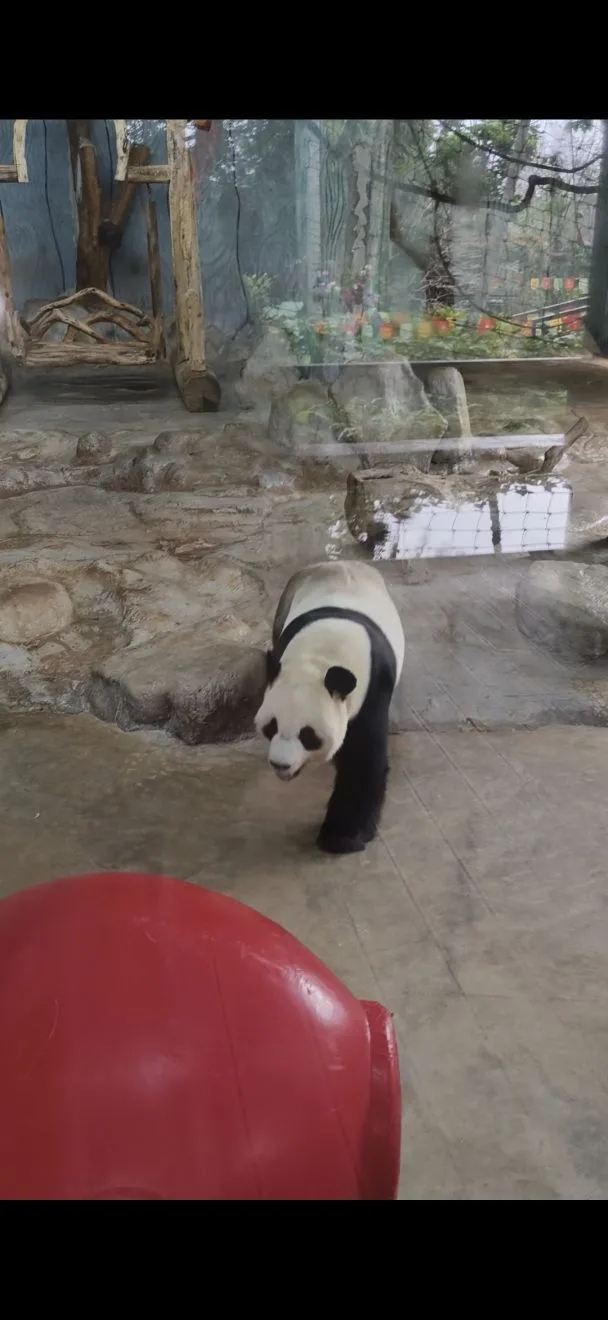 海南热带野生动植物园旅行图片 1