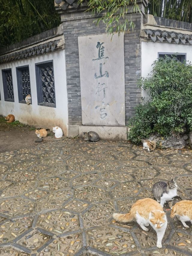 焦山景区旅行图片 3