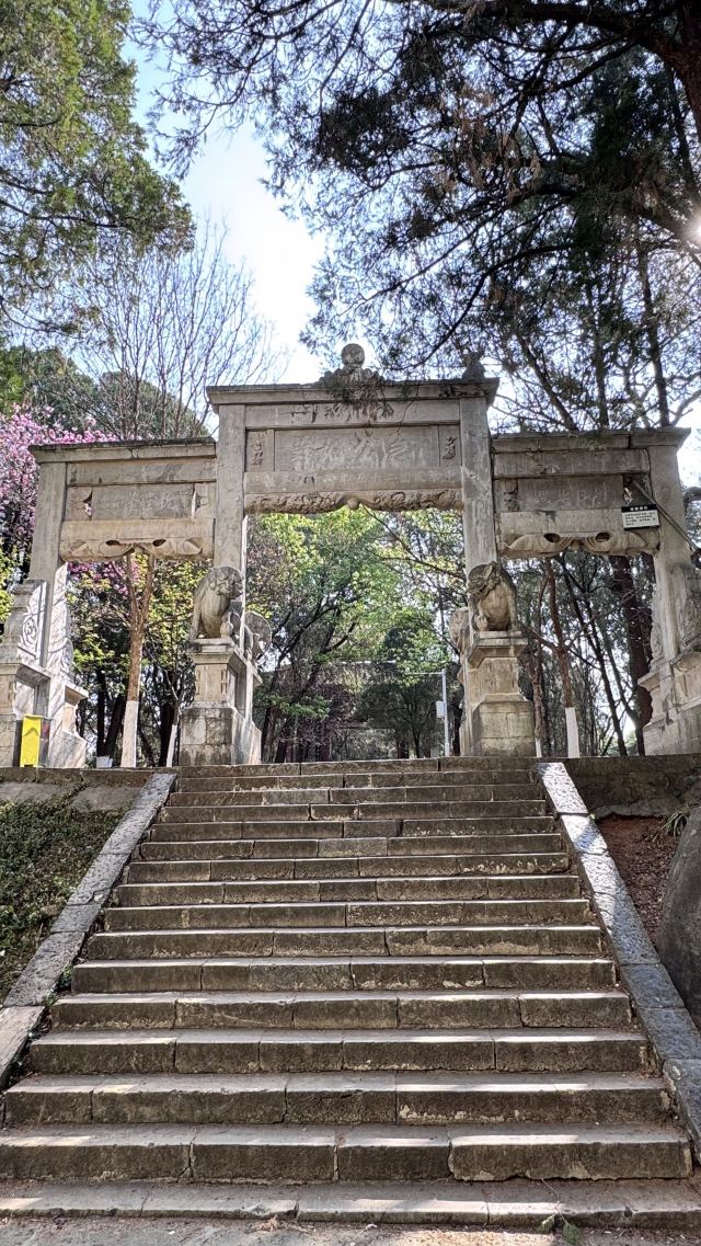 昆明动物园旅行图片 5