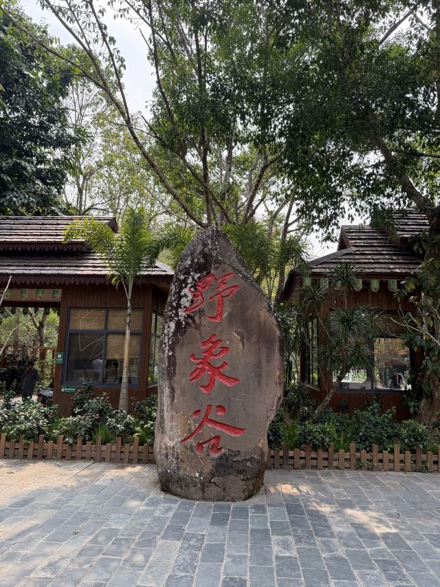 野象谷景区旅行图片 2