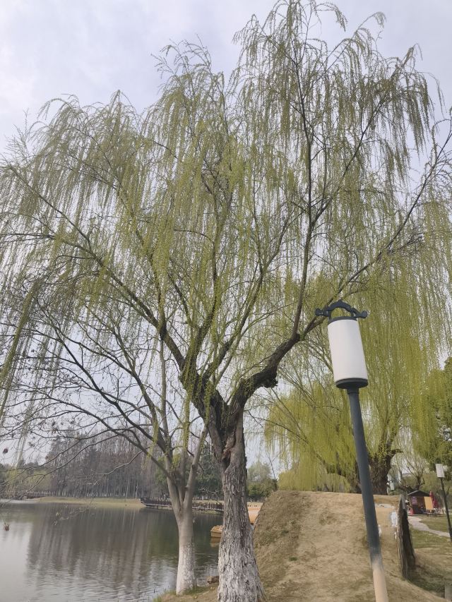 尚湖风景区旅行图片 3