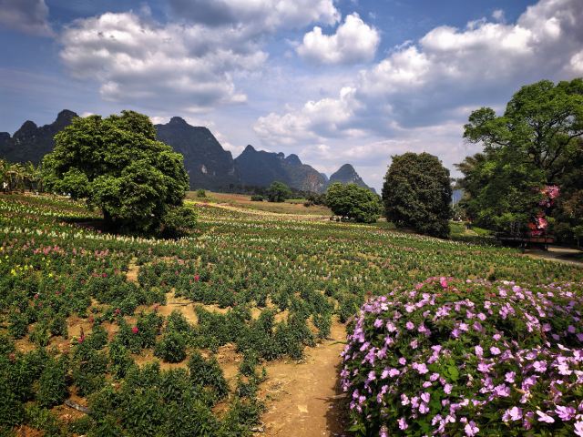 峒那屿湾旅行图片 3