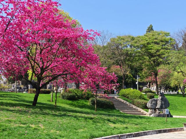 石林风景区旅行图片 2