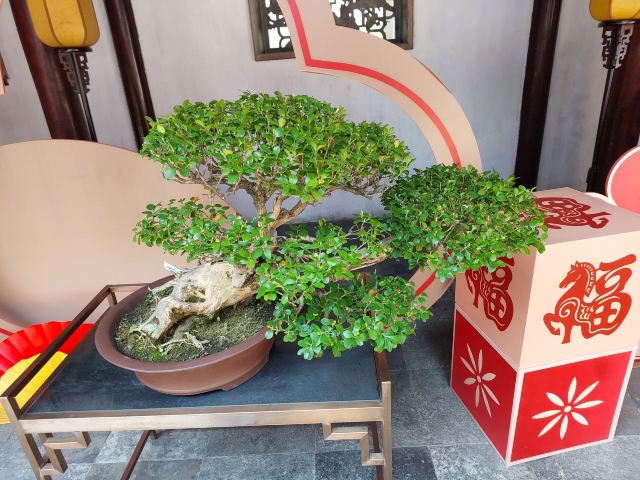 上海豫园旅行图片 3