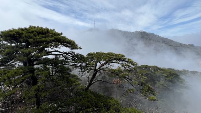 黄山风景区旅行图片 7