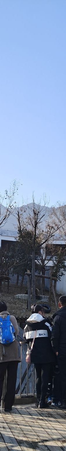 秦岭四宝科学公园-周至-君哥行天下