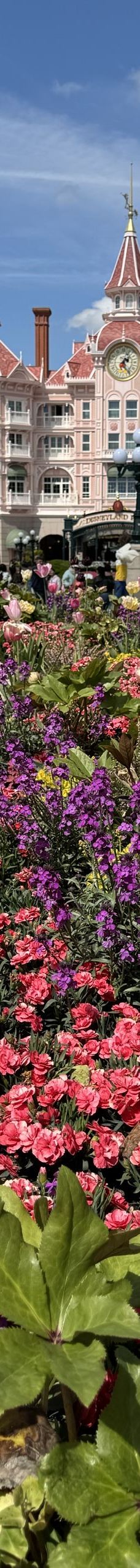 巴黎迪士尼乐园-谢尔西-Terry家的洗衣机