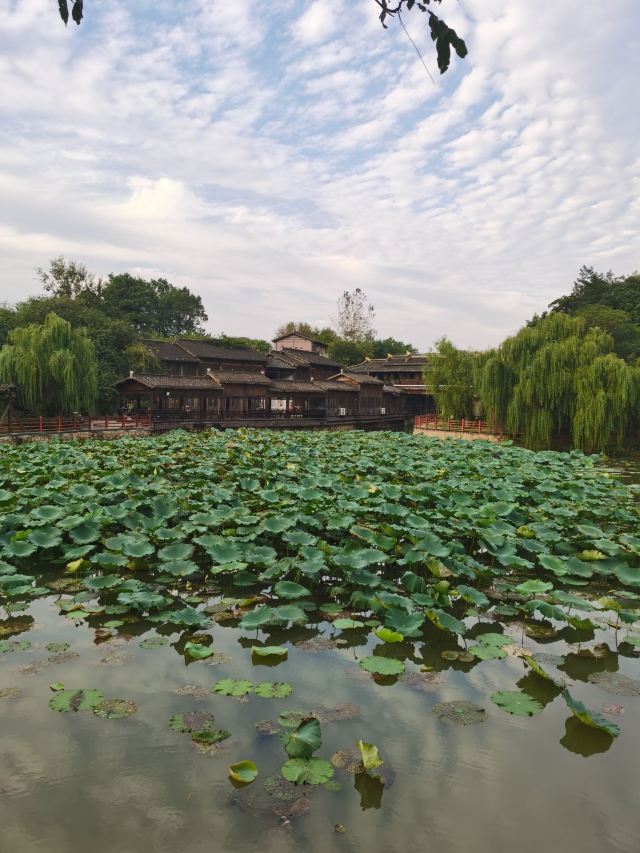 宝华山国家森林公园旅行图片 4