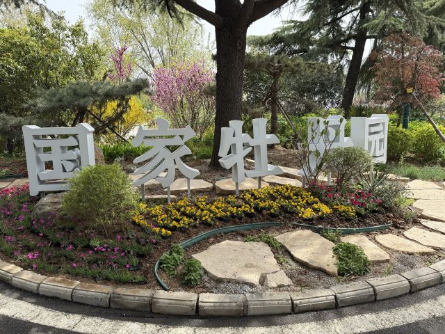 国家牡丹园旅行图片 4