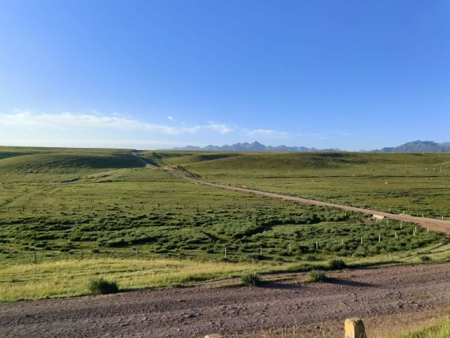 山丹皇家马场景区(暂停开放)旅行图片 4