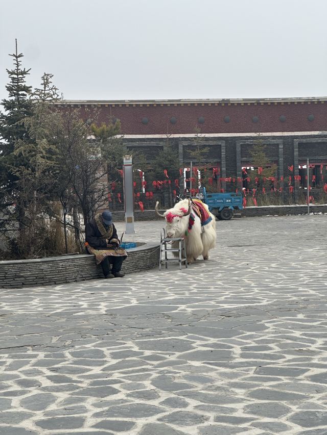 日月山景区旅行图片 1