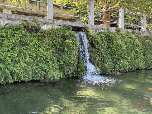 郑州黄河文化公园旅行图片 1