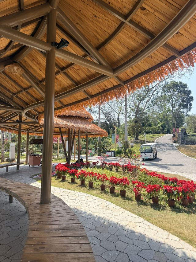 七仙岭全球热带水果博览中心旅行图片 1
