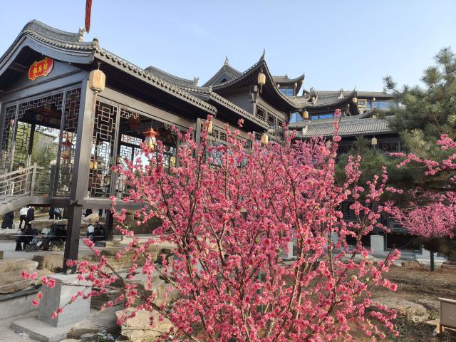 司徒小镇旅行图片 5