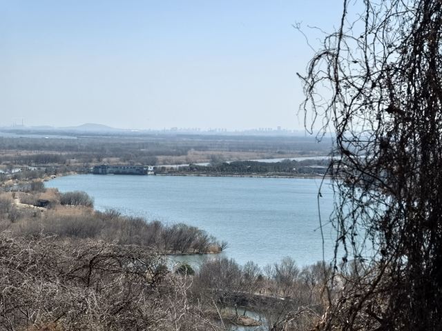 焦山景区旅行图片 7