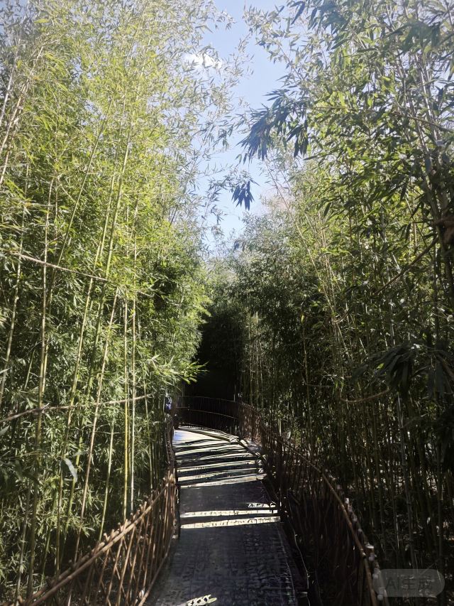 大观园旅行图片 4