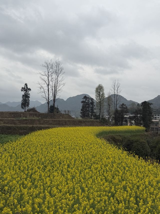 平塘天硐旅行图片 1