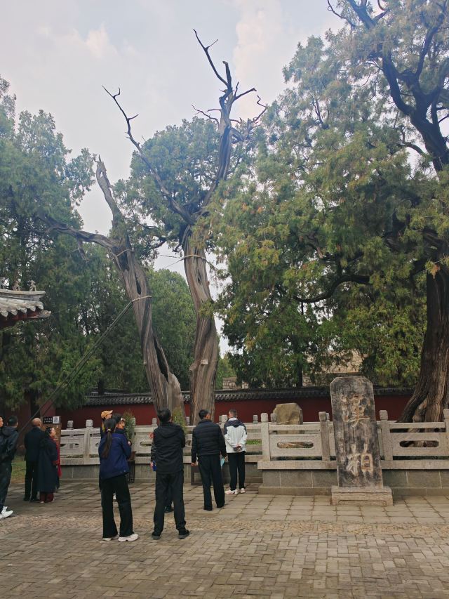 岱庙旅行图片 4