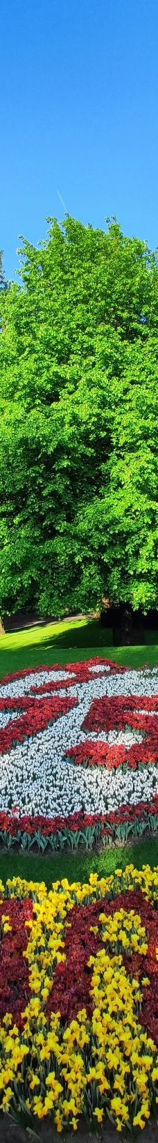 库肯霍夫公园-利瑟-咕姥姥