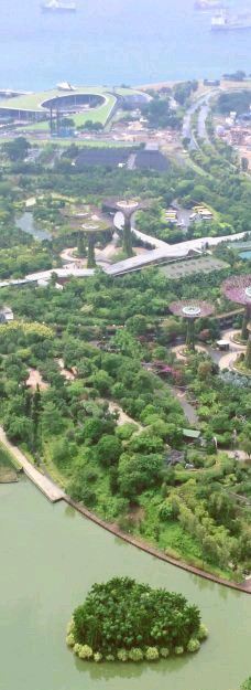 云雾林-新加坡-悠莜琦琦