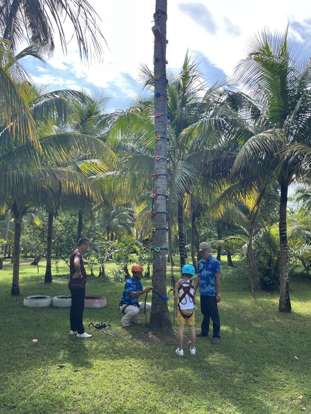 椰子大观园旅行图片 1