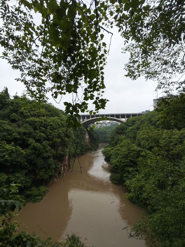 洒金公园旅行图片 4