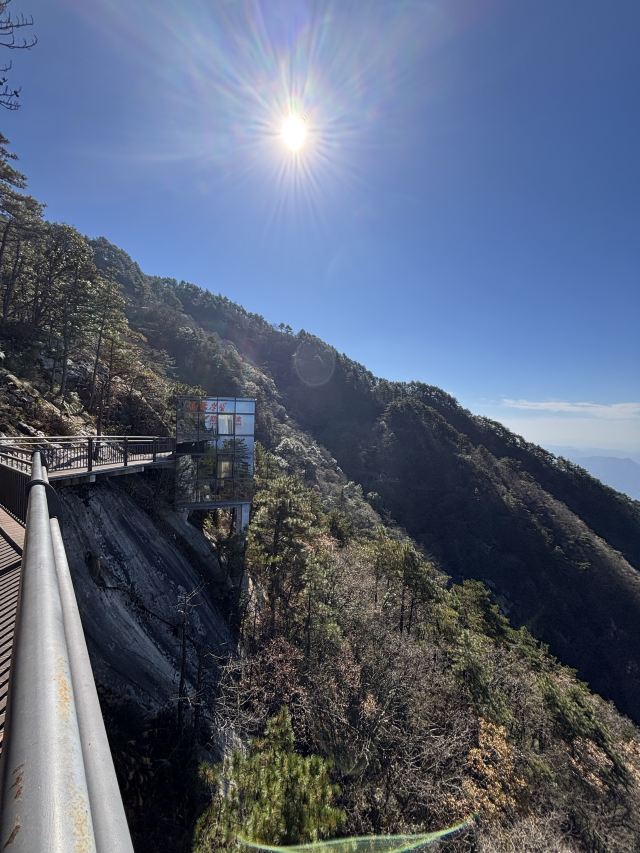 天岳幕阜山森林公园旅行图片 5