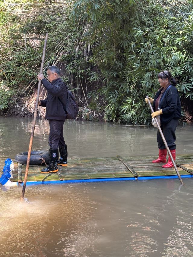 基诺山雨林徒步旅行图片 4